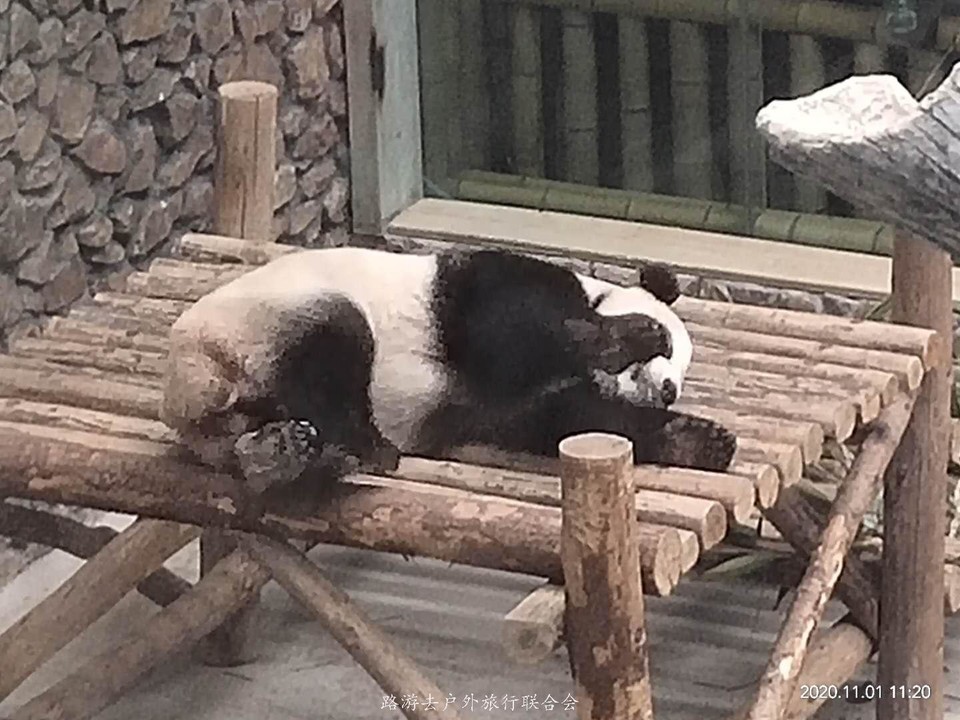 xo2o4g0ibgS9sjJ_iofNlAe91YbwnSZub2UsmORnLd6zz4x2tEJBpD2YcrCjSl1K