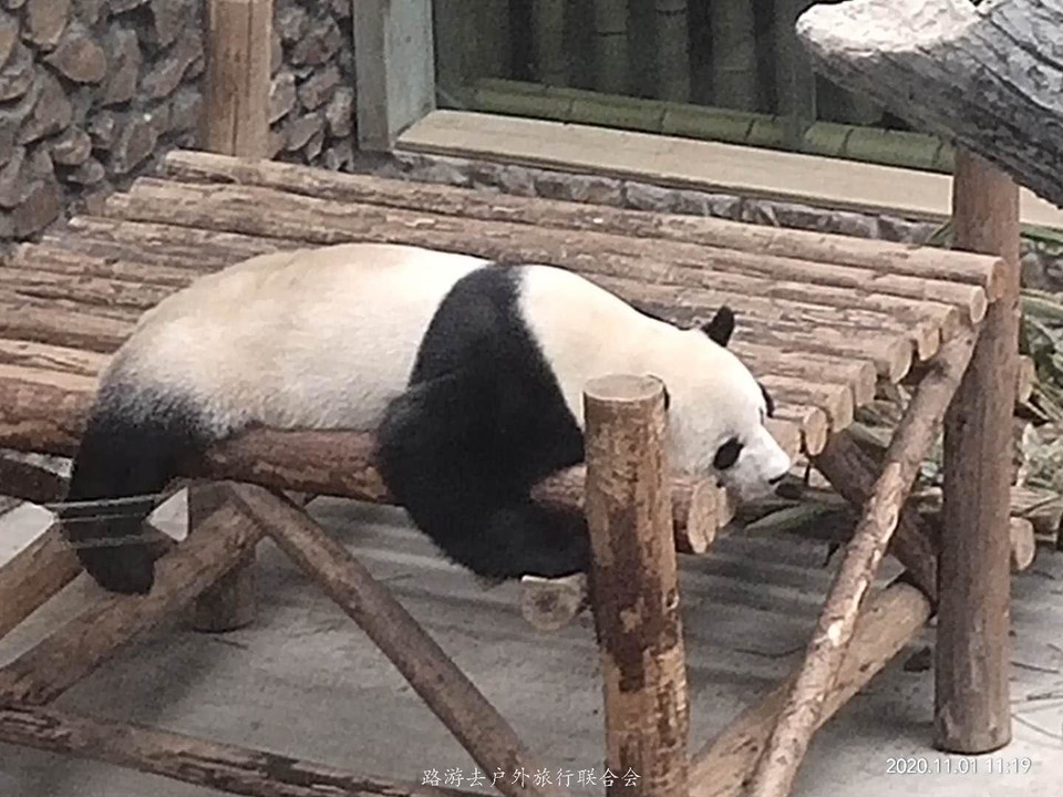 XmljjL702bcjB1CS1F4mqHnXNa5fXFi4fMz6EDJp1QEYKuUtYSwT_QPLq-U5DJeq