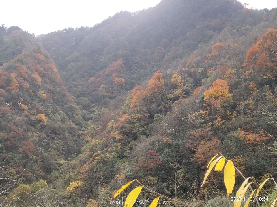 fWCkPqsTh1GUtSfOTFe9epg2AQphX4yrXy6r82gfwZFGXrNKIN-ayrIcdZtS7t0p