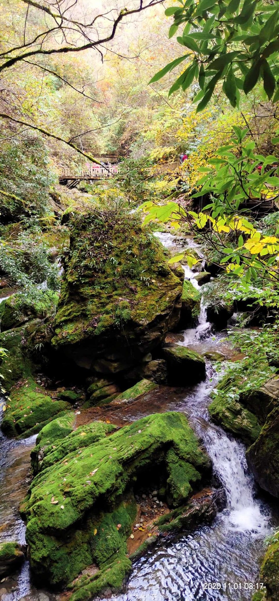 Bg2IzAFrbr9_Q6O2htyOXG1HLUHdRCxvZR3aiCe7h3OFGbb2GK0f3kV2mOmMvw8L