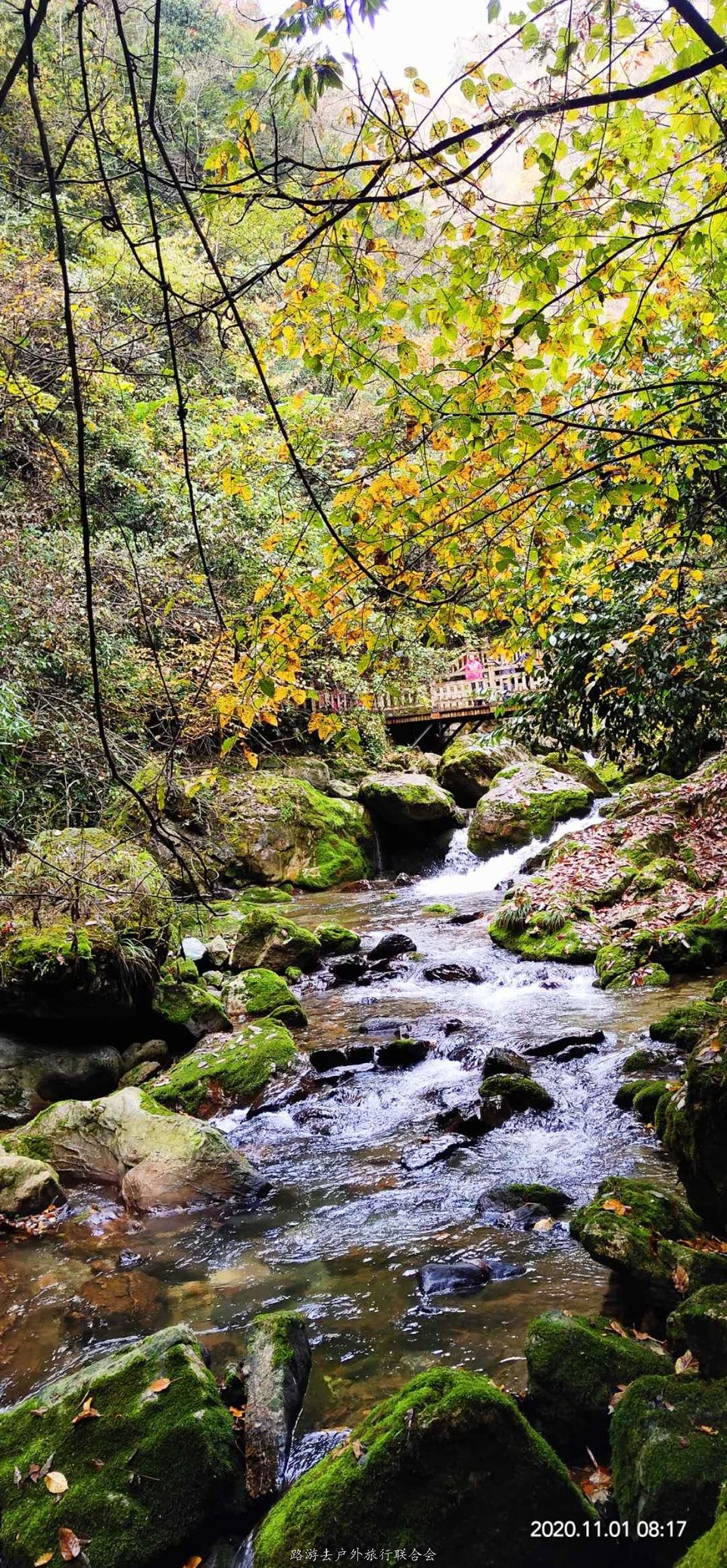 CnUWv0UHn-5Oj0V8h0TptzdLPYoOb4mIMq4fhHftZ2XXrwUntPOAgJFcd3q7ZTtj