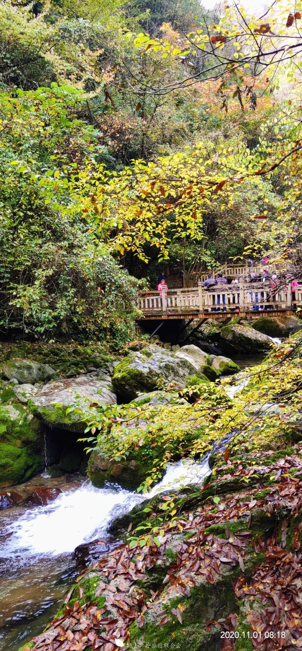 hjL3mFisnIRFFLFv_PpVQ1KdYCUZ3poRI3jZdCZM3xrmlWDkT0ty_3Ek_L634XhR