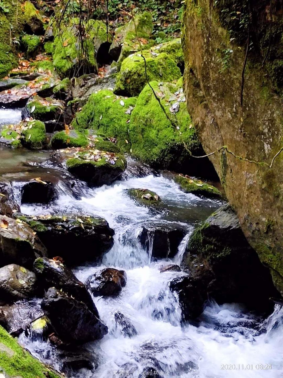 h_SV1At6v_iWFr4l7u5oHYfHHa6MjRLcMI-mprJroWTNoJvslndceWhbe7I-7v8J