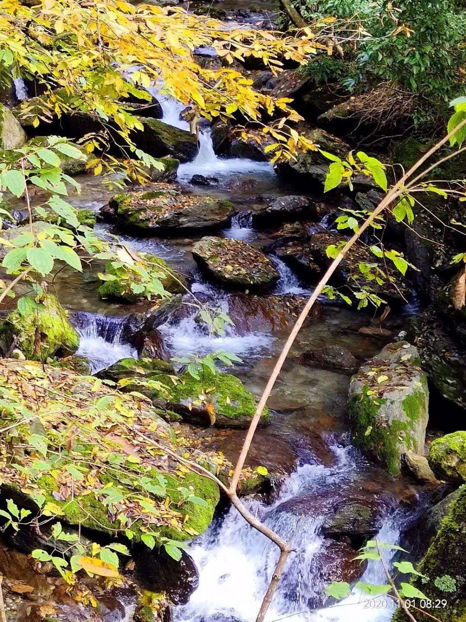 ifv9Zp8fj8pCjI0_bqctkZv2M3vWXkapZKPgy93incBUlrYtc-J5vf5G9jqLVIHx