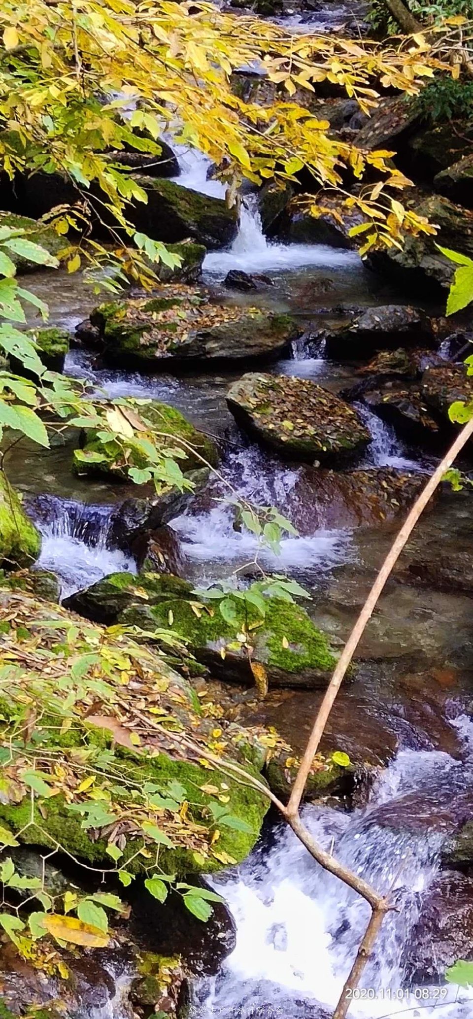 hxqpO8pOXNFALrDy_X2r7YD6tQJ3aBno4aS-1xWvBu9iMKmGbnHDxX9Cv-iqb3Qh