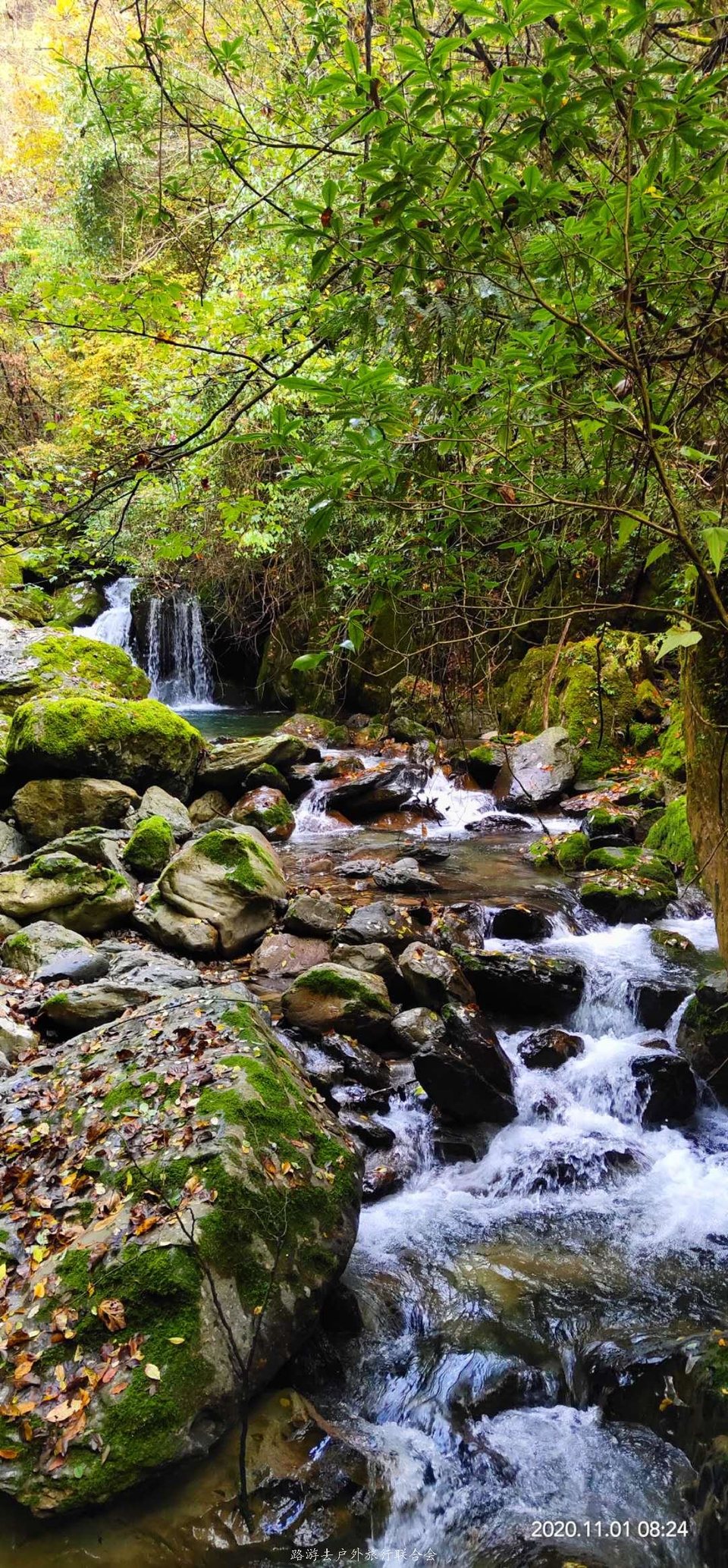 5FdAxkkW3h4ZzPARcugeaV-rom0rABX61d2FaoMX7DPF85qFFd1b9d_BbogN8gZp