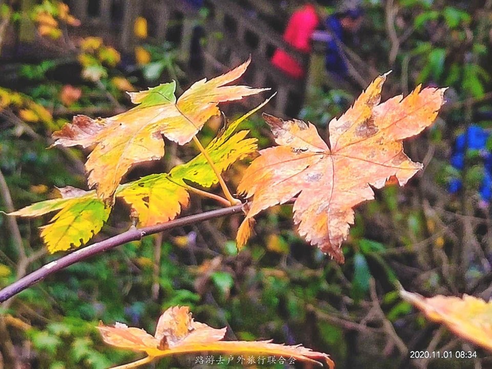 z2Oi6GDd3SwUPHLUGn4w1x9yH4r-qvamdICdu6jP-Ydg3oP1aCHo9vtj4a3vdmoF