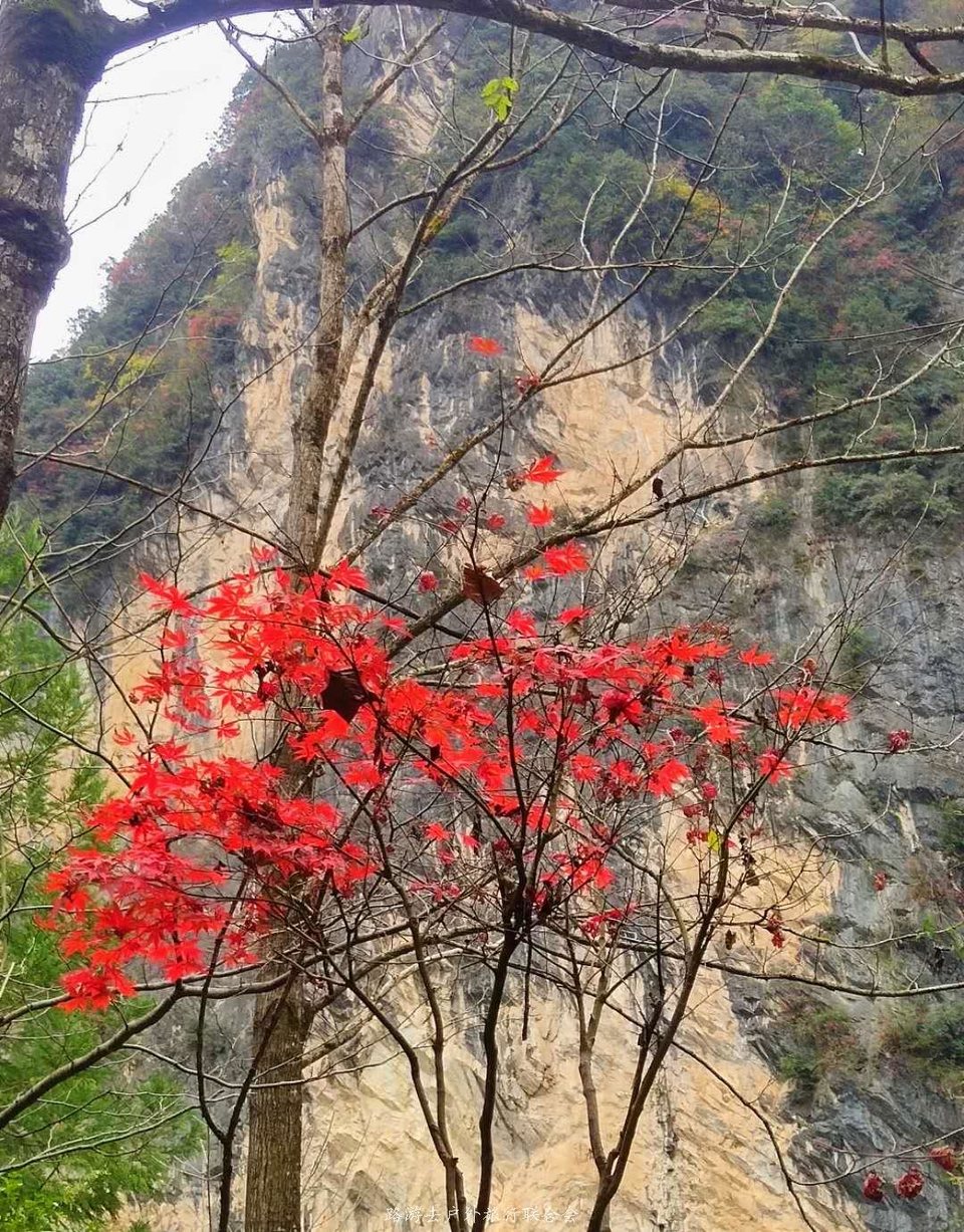 Rfp7cktIvZSryfsDRliyqjBRBbvPENL_wXhcSz2H6Eb_m-1DZXfgBEBOc6GJUakg