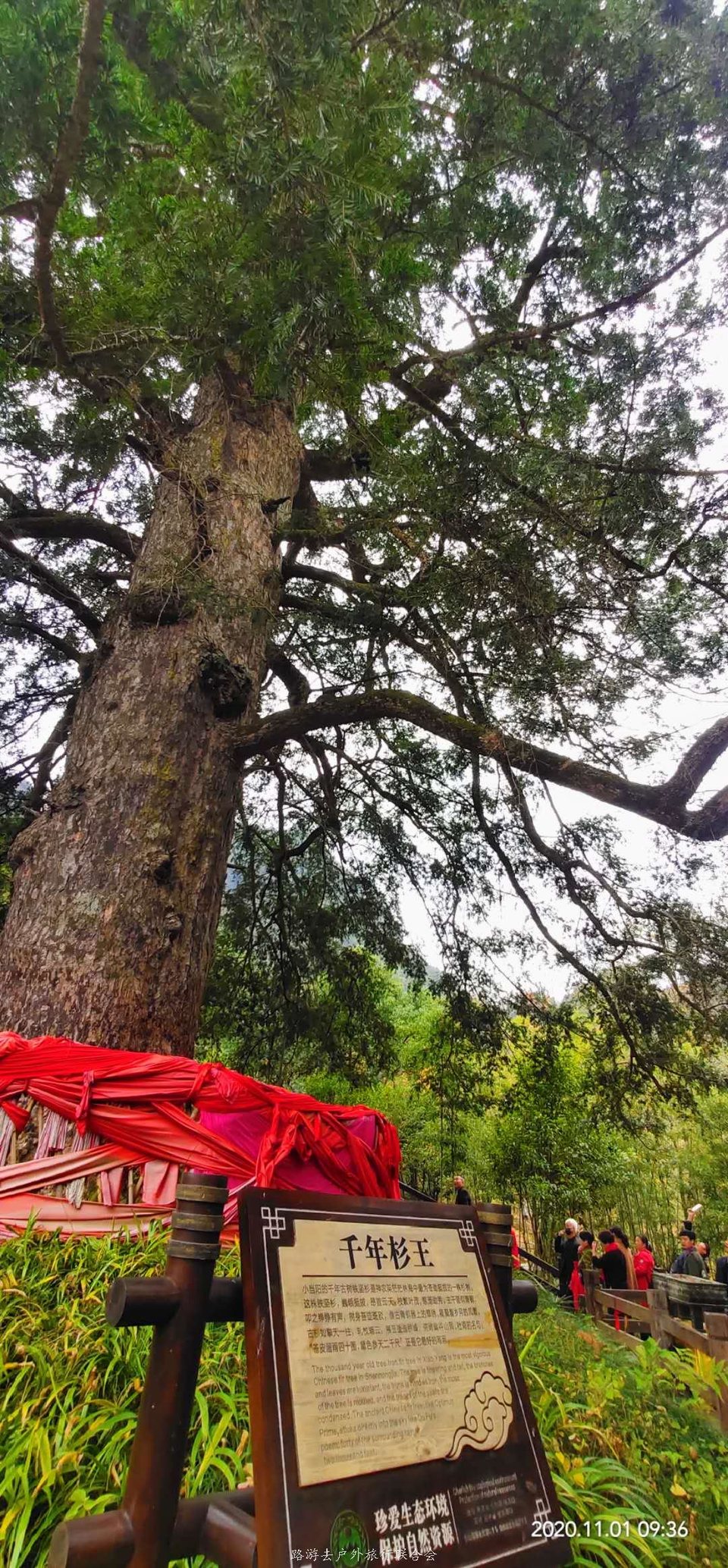 SA1KIesAd11LpBQOEbJVMs4ITPbmH5S9AujdtVkgjmyLGC-AHGSSjKVROgOBMYgJ