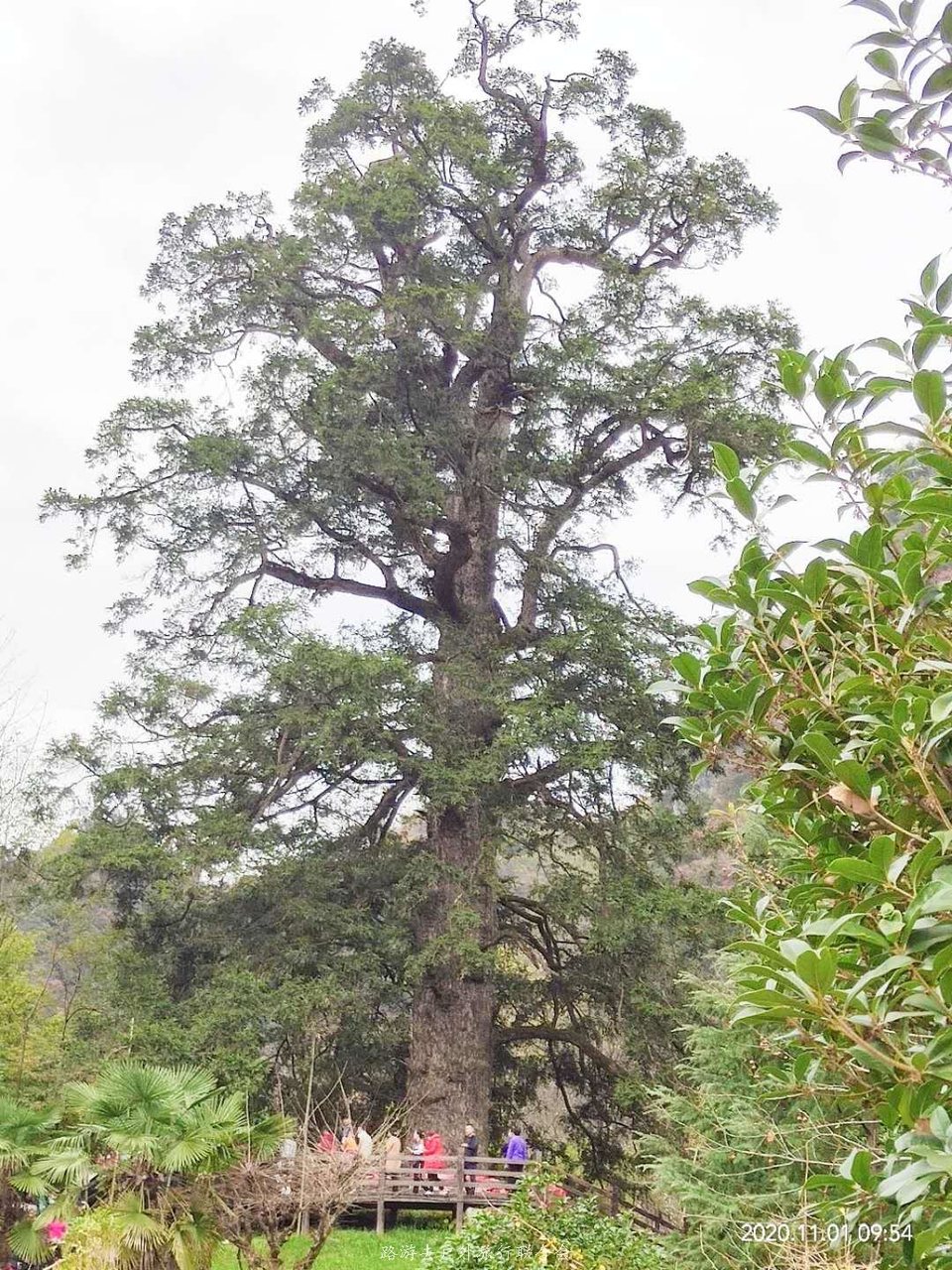 AqNzVnORvR5HolkgwlI2EowsSJW9aP3CkezxW4HOs5DfQRVsp1nYmvprDm5kC-5M