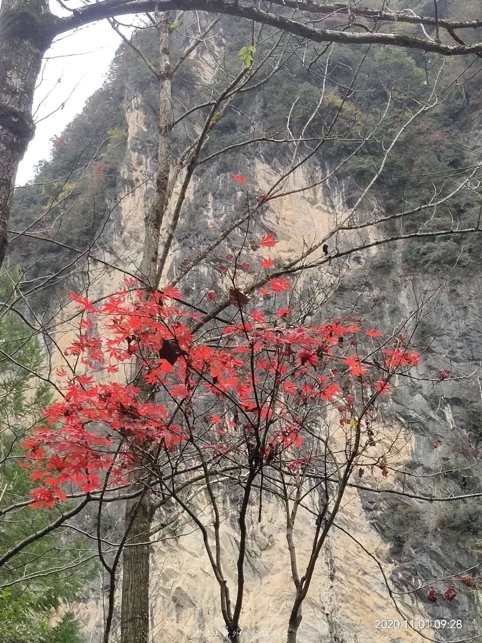 UCQJE6veM-lwgI9XMe8UQm-CrSNTs28lFqj1JXCw8w3TzdxtC63xX6zVJF3E42oj