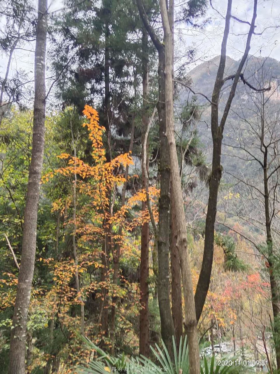 7DJ3Ig7KFlUjPDZ1IOxxF_O2ufmG_75xyfFD1l3nN2v0aKf-qs1C3vgZ84r0bWFa