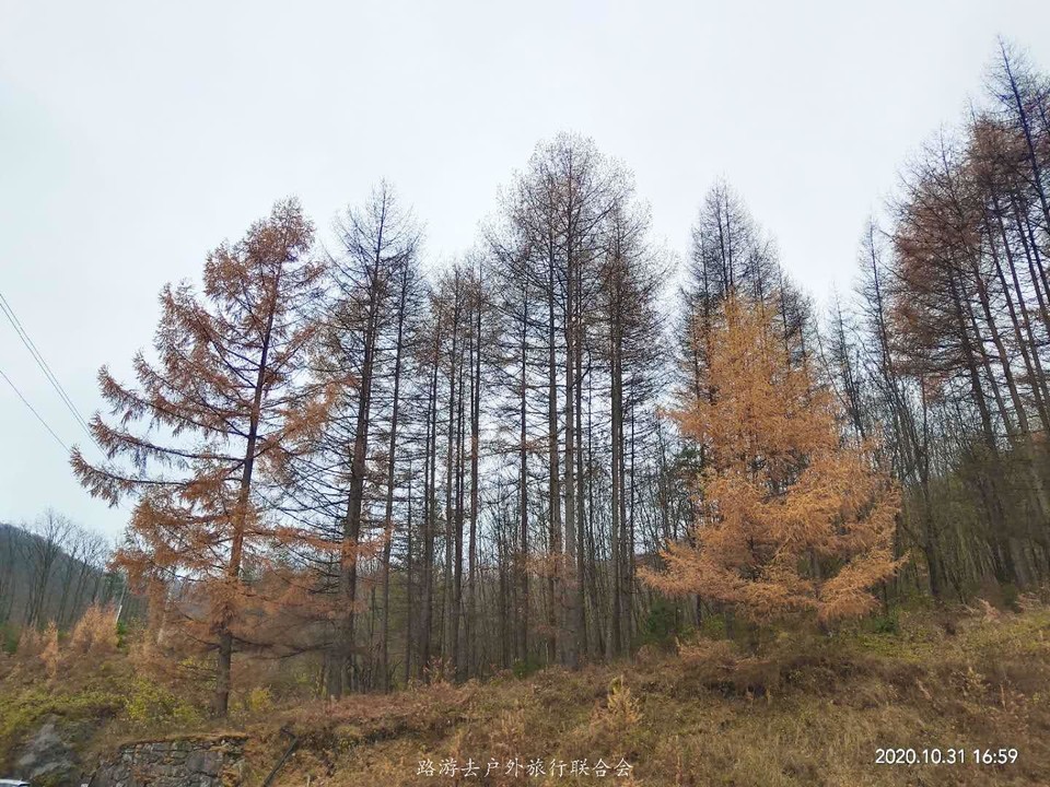 u3jLQ75tWnrjzr6UYbbpnLVVqtnh7TFvOHiJvAXtbGCKafrvsN3yaS7xo_VadzOa