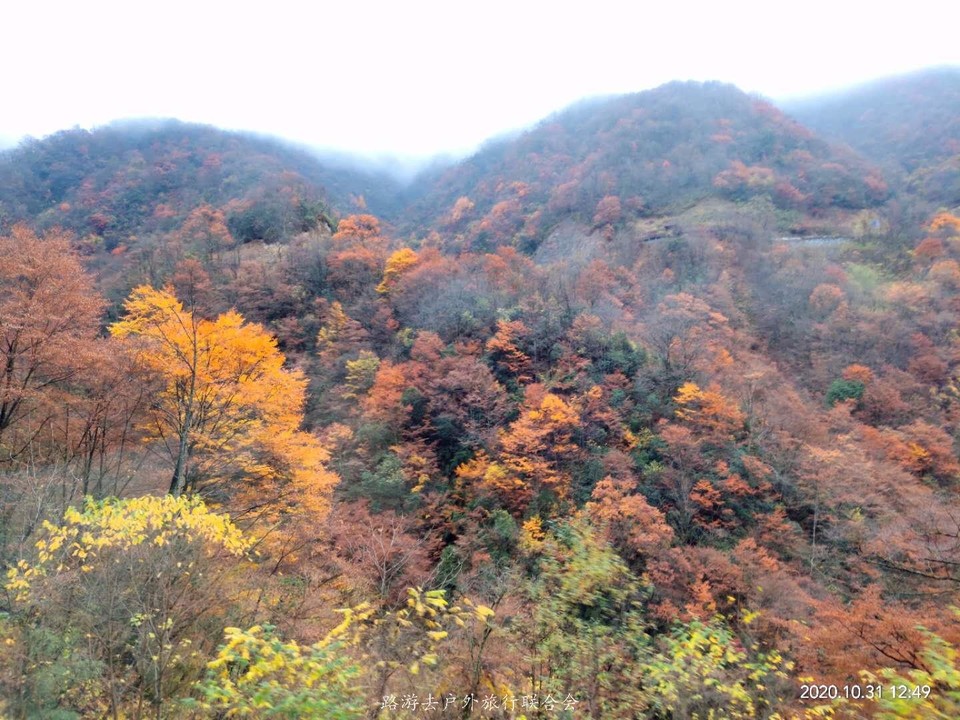 i2Aqw9a-j5se7fvPxDEBbcJwn0nXRqLUMtta-M5BTV3J-Y77o1SIQQPGsWKrg90t