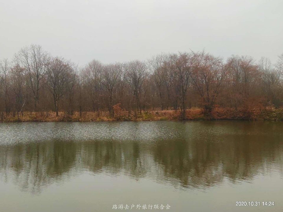 bVCVoZlljGjl2aYbw3G-CwIZZTEhRpCX8jaEnfT2hcsA8BQTsVQSGun0XSDCY1Iz