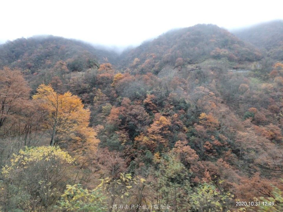 sGs9tXVh54j-uW5noiUZuepZqIno3P5V-fgCvMWC4DSi9Ms2ecNMAT_h7-0qQVQt