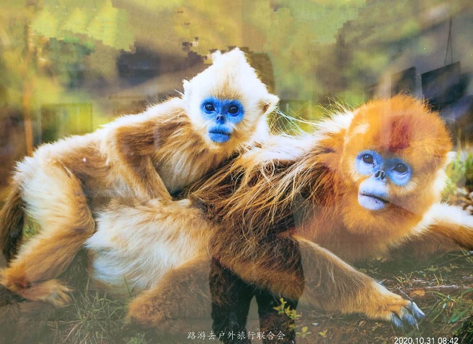 7e5LD_IfVEq1SK0fBdUZymrMJAtSJ7AaMOBYXKe-SROdWND-QrFcrqGz2fifkgbe