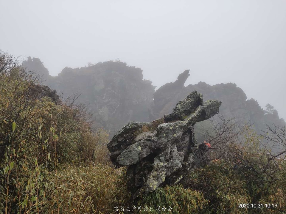 Vr2wsFE_is88QoEmfYKEjBzheV19qL_DTZEjk6cyTrXstL9G2PnBPx4zUJalTyNC