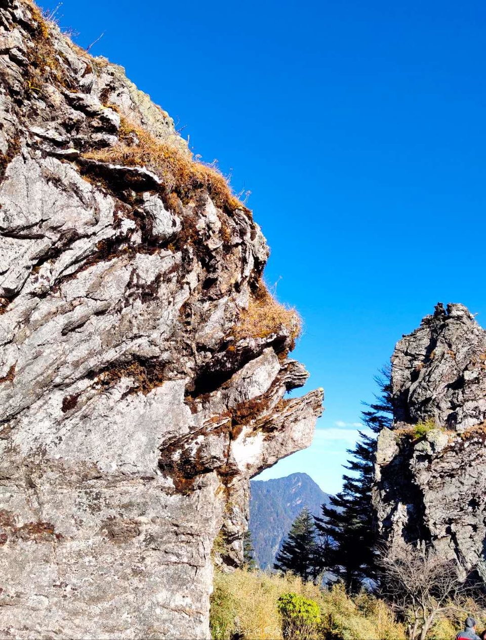 xQJ6xMAma01XrgzhL6vVjXco1h7mBgTEoOetTJ69VcyK2ifXLtXm7gBEUvVLEsxb