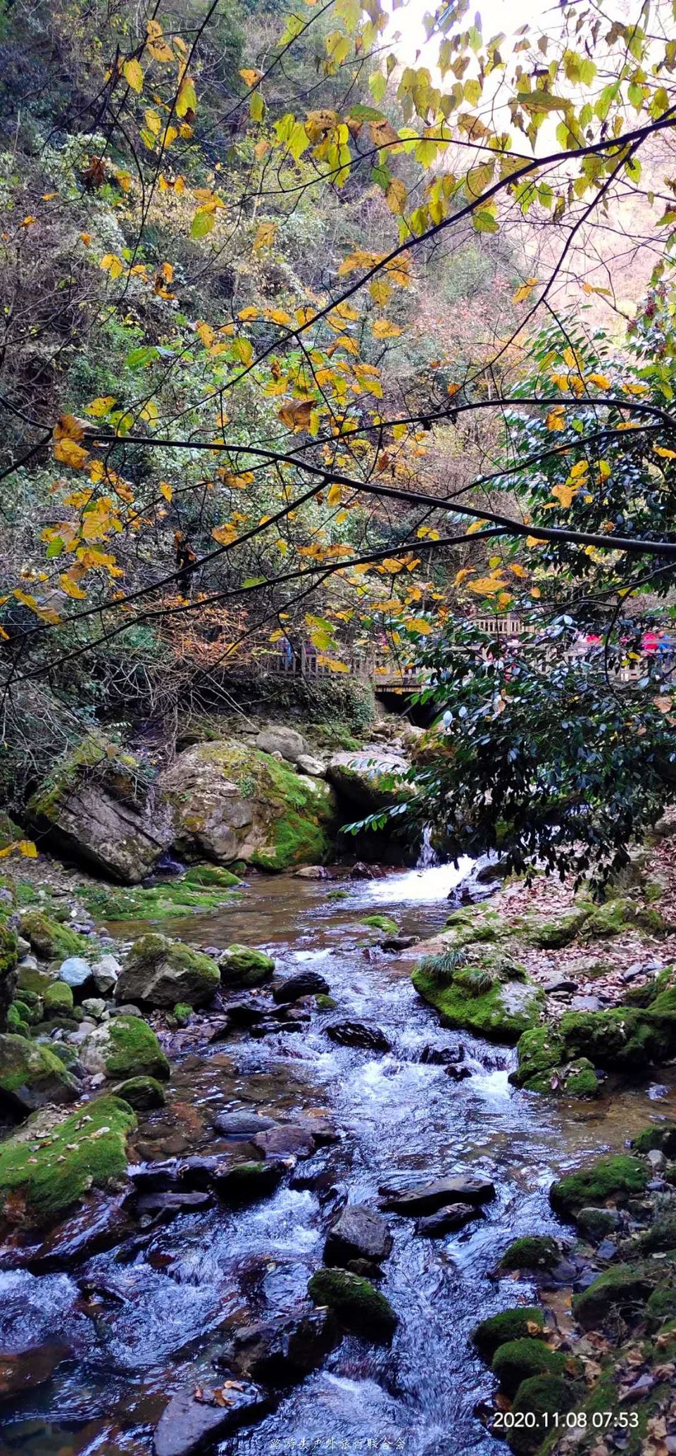 31xoYuvlA2JHrirNBqE6CGzB6WFJilKKfL2dC2zkaZnl3I6_uftxGX3kztjHAlvG