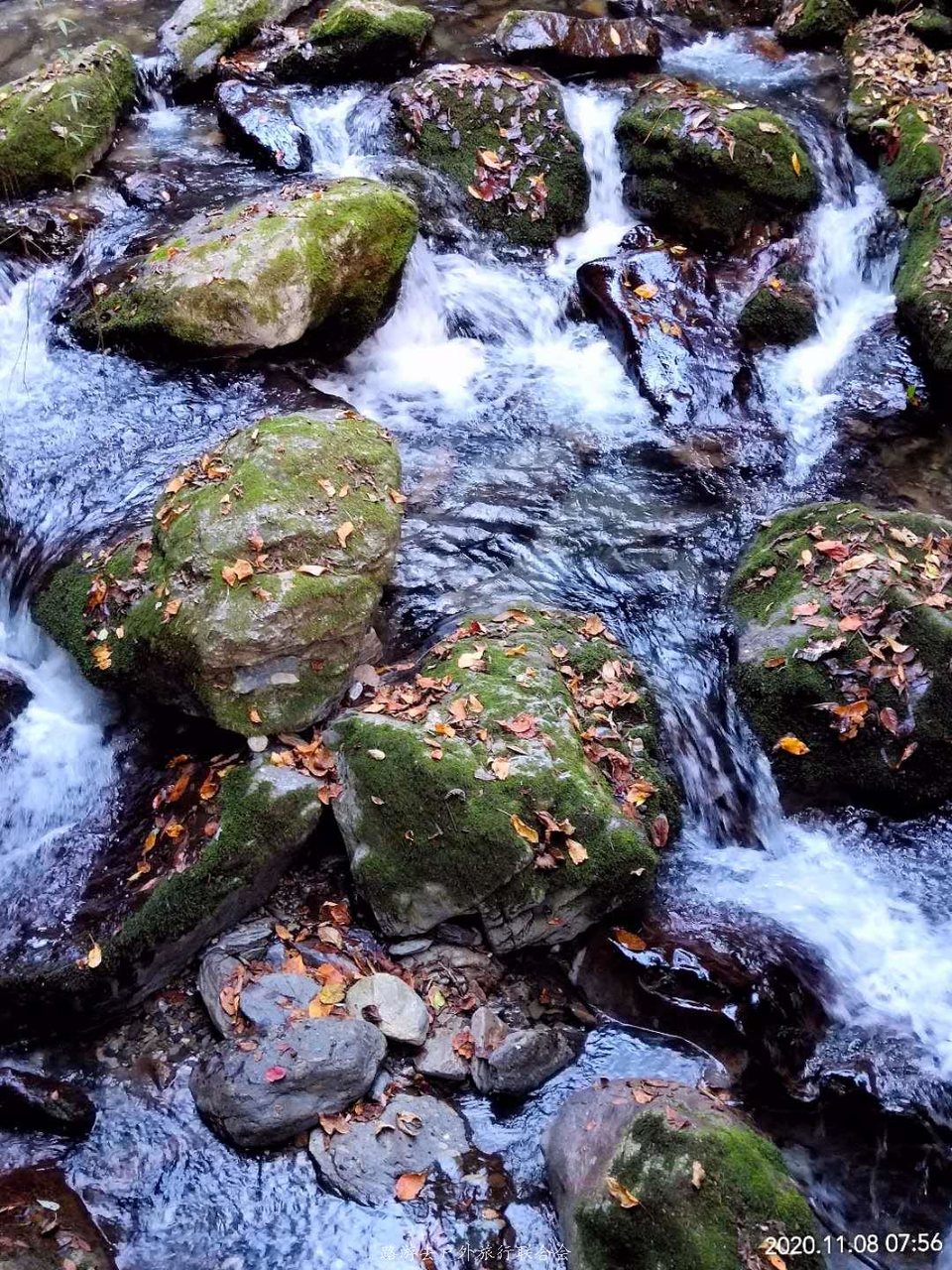 OH8byF9dVyUGz298eNa9Zx-vh-i1JKVxU_qpfJE2tEVBZ16Phb9j8VMEbTS5dkLv