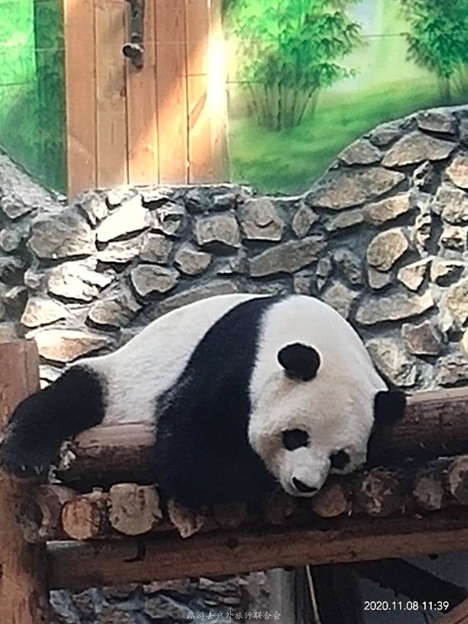 RqQbWc9mpgLCk_f9TNW2DboeqKS-4gXQtBvLxj2CXxZMZUjxLke--Hu86EoiZxXl