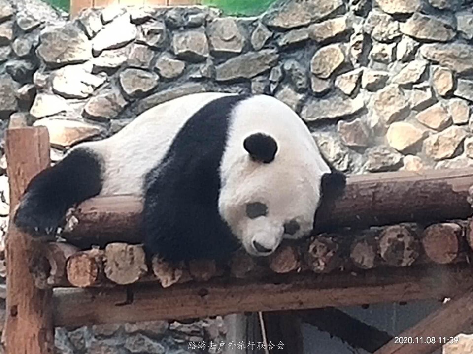 P5mJ2QrPJ7JNGgUQqYJ1r9xokEEEnUQvfMFVOlpRiwAcWhbuf9P9d_eBp2GnUCNH