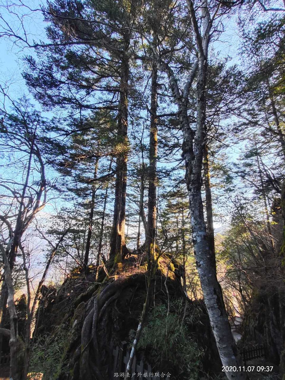 POcV3f8HY9mG0Myj6cc3FNNSTg2wkoFniIG266nTzAHdDHd_CsZCYQqizwocEmgF