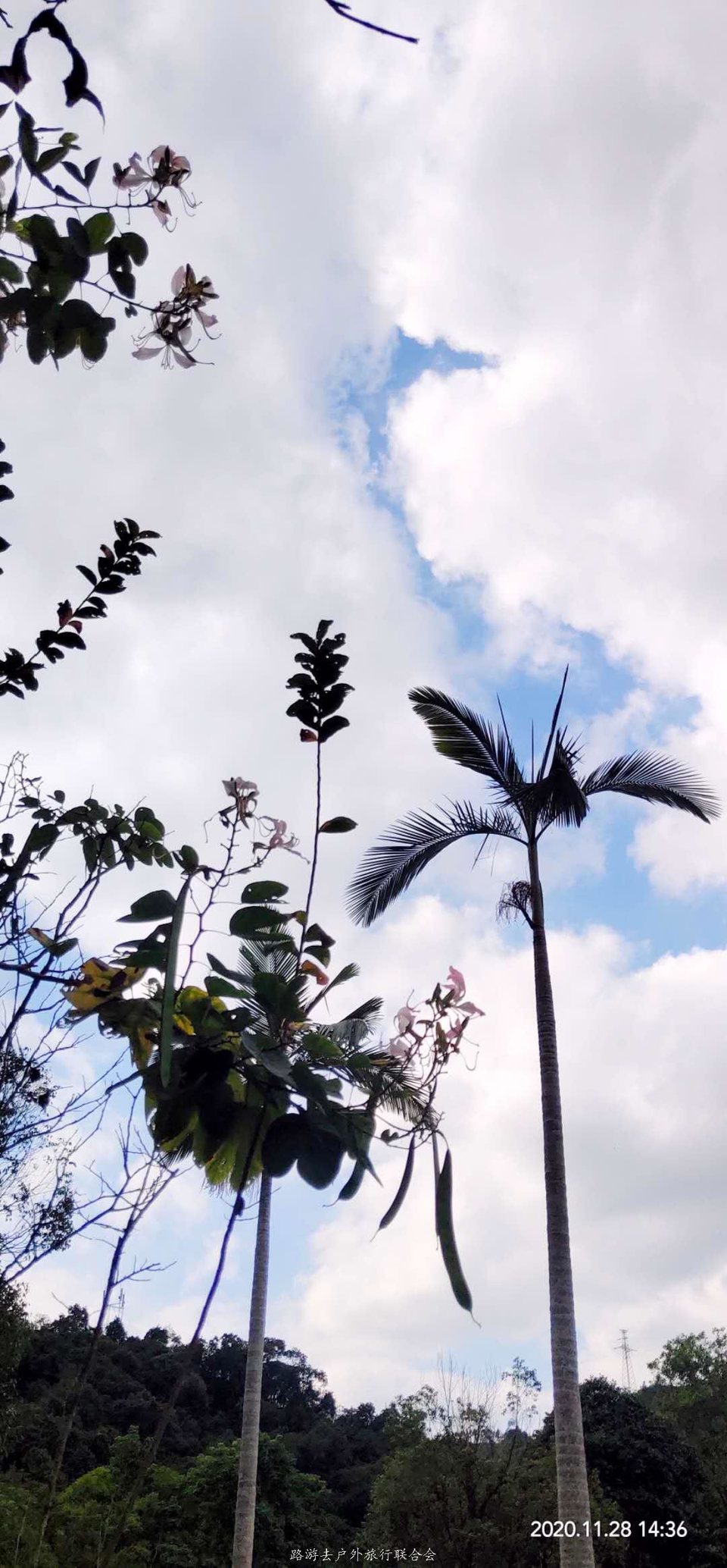 l2DCnRM_jySX1sLW1lT4e-d6lGyzf6lgoS1Tjmr0NfFpnFjm_AOuFCH1PpZY_59P