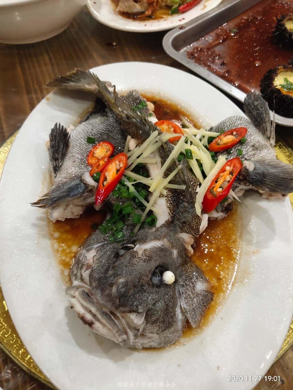 xfmTFDitC-IHrLPyKdBYETfpJzKeY7faMsLFyV_185gmD1UyK9o43GSrDhzrWJ8W