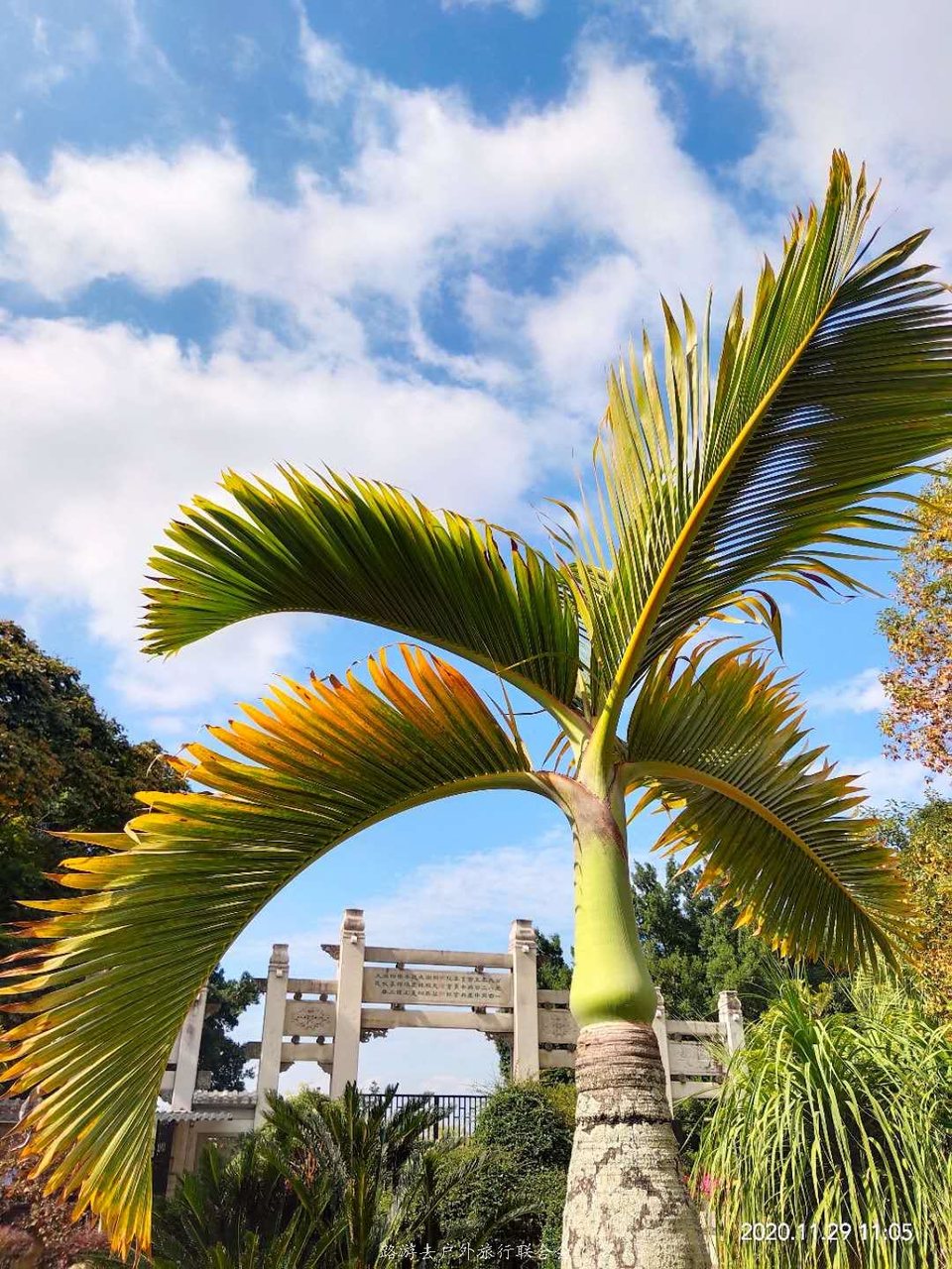 D6YU90Cv4EAbmey6XMgndjM263ysgbT99OdyY8ehrjZTTiKdSk4wpyC6jW-c-ho1