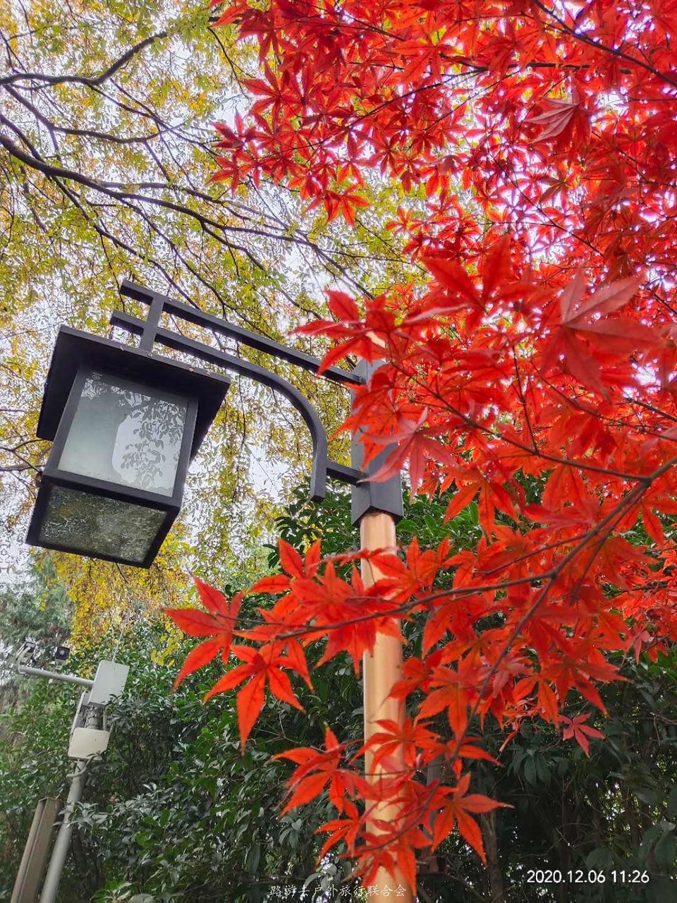 TbC8y61zGHPoGyP0KNKfQJurmhbTgZMhotFbvxP_SRLAWgjqe4do88WbYd7f9-W9