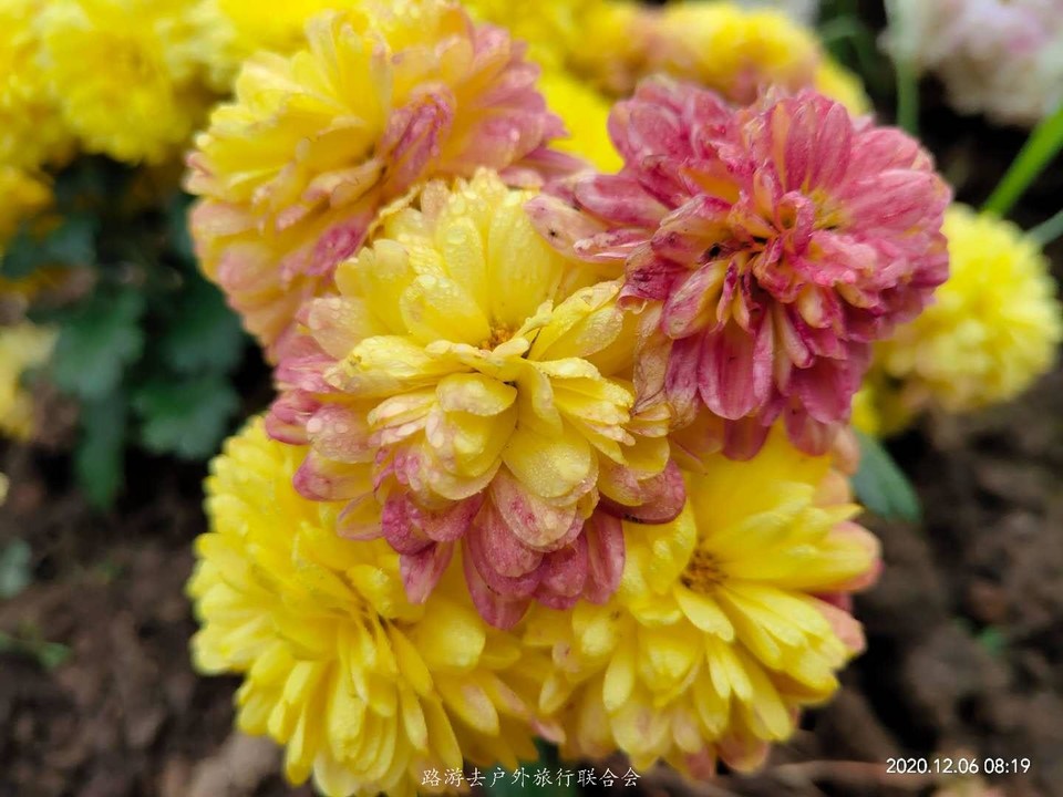 Z9QDogne8qBZoK0b_OP7L7dPIcLCKItkeBlz8WXxIrKvu89BavcVkkg7oUZsmZDc