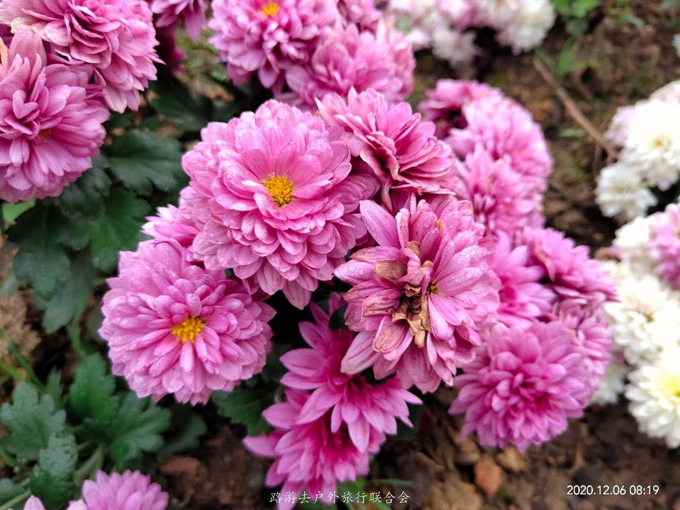 GxTBOe6NdIfosFxcvs8VhdWj8F8Cqv6pIFebv3USKBzOuiMMK6QgDx0wphif6RmB