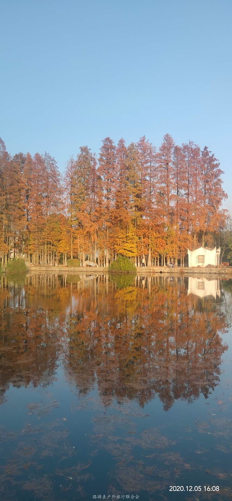 lfLU7hiHgOPg8v3aAVUGgBBrQ7RfCuKtyNjlUylRkRVtL9dxq16-R4ZE3jL0orjQ