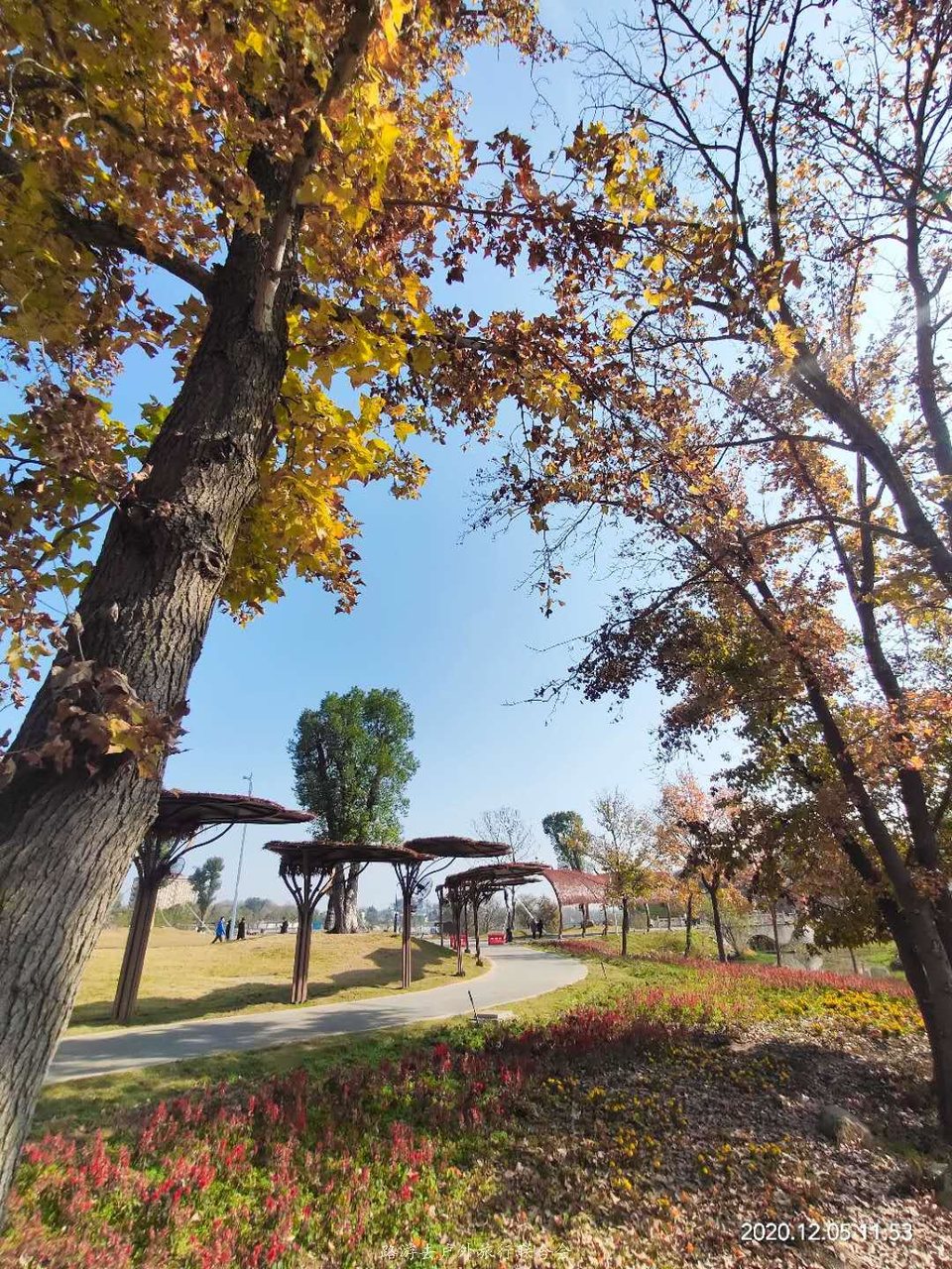 SCl3nrfh7_f2d488839KNWe4W69foCGOPlmekO67nXRpsTr4TVHvjej0aCn21xa2