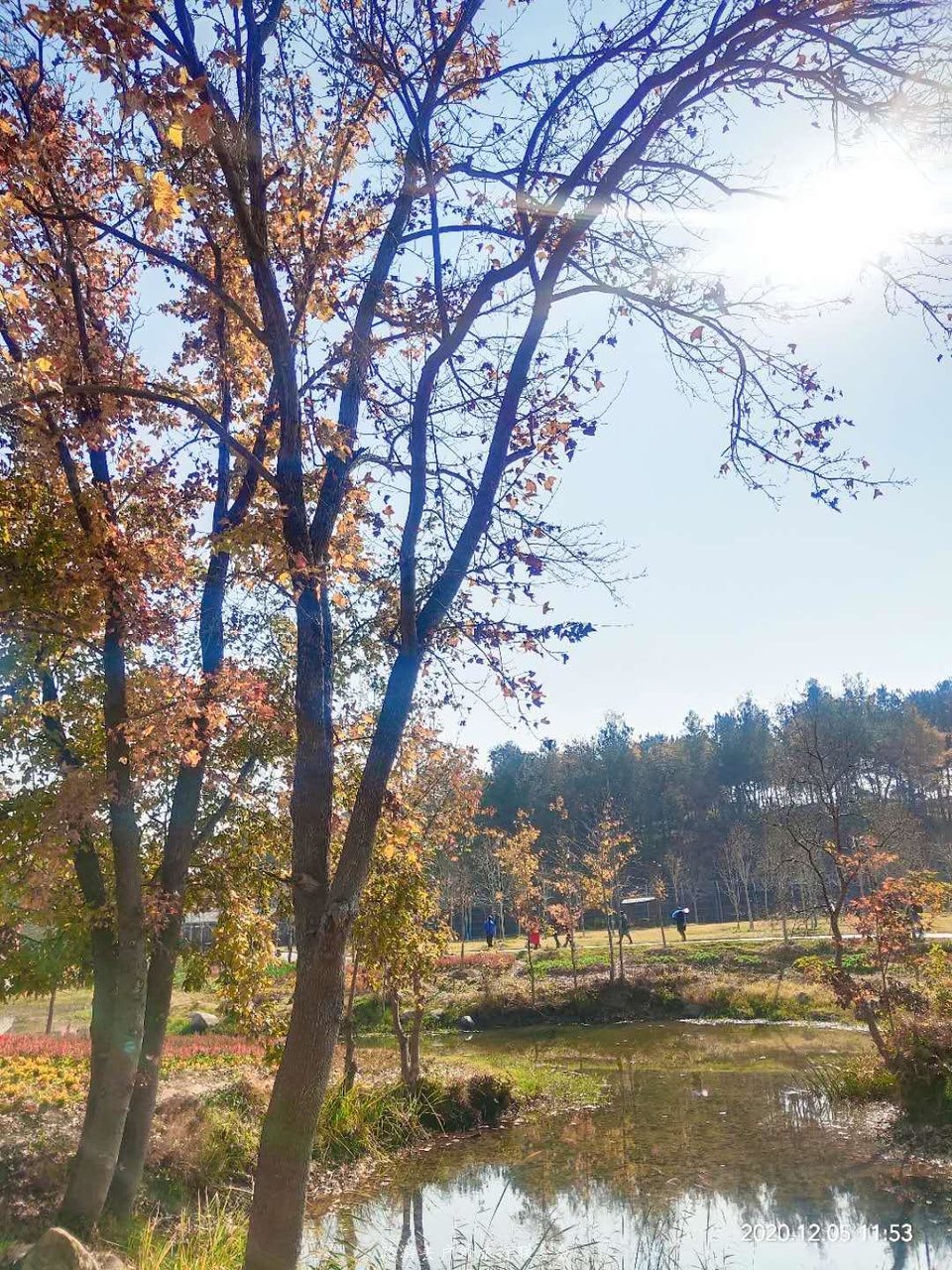 R6xhuk7Vf-nx8ow1LieIT74VgdU8pbZ589_5bNzwkRYq_5j0k7guLHgjllN_W82D