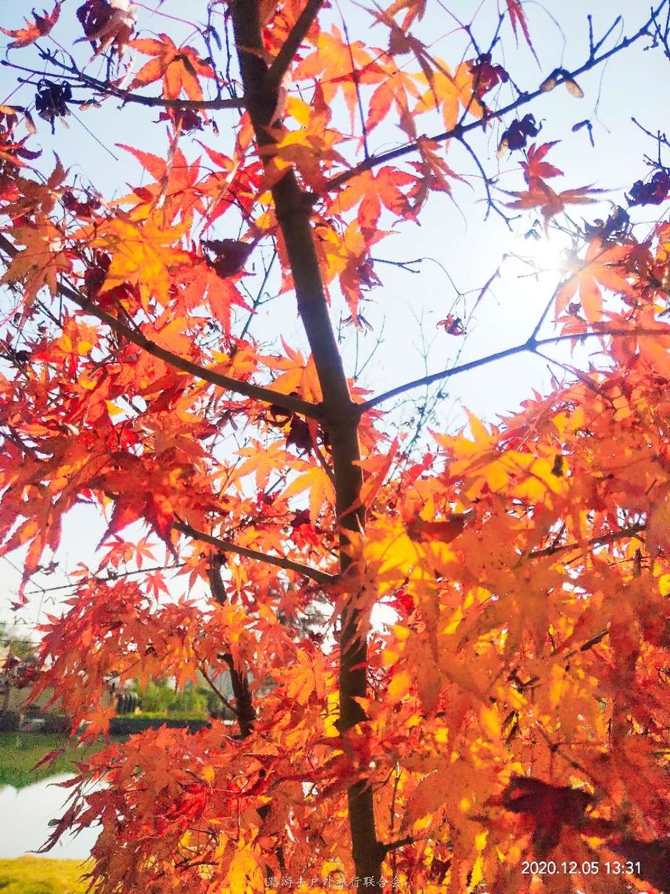 XliOYf9869f_7kurMboIMEMxRyL3NaYEPk9KKnJLpgCjZIHlu3Etv6P0mIBRx_wX