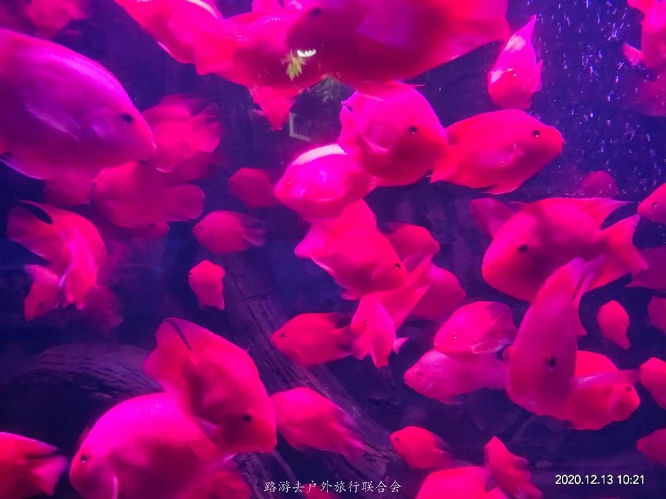 C1xS0GwE70zS2qUloYgwkOngR7Gk7MXl2ba1CetudPNtn2zup_Yyq2LXk76hVH10