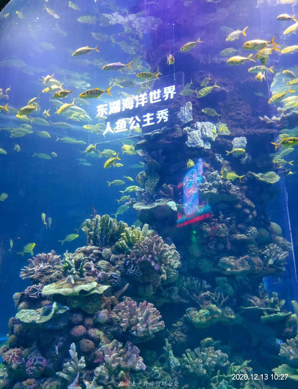 yo30pupMFdwrAwcrBr28bVudfQD3DnsoUM4nKtKXCLcpBJplDX_DPvGj3os6K5mp