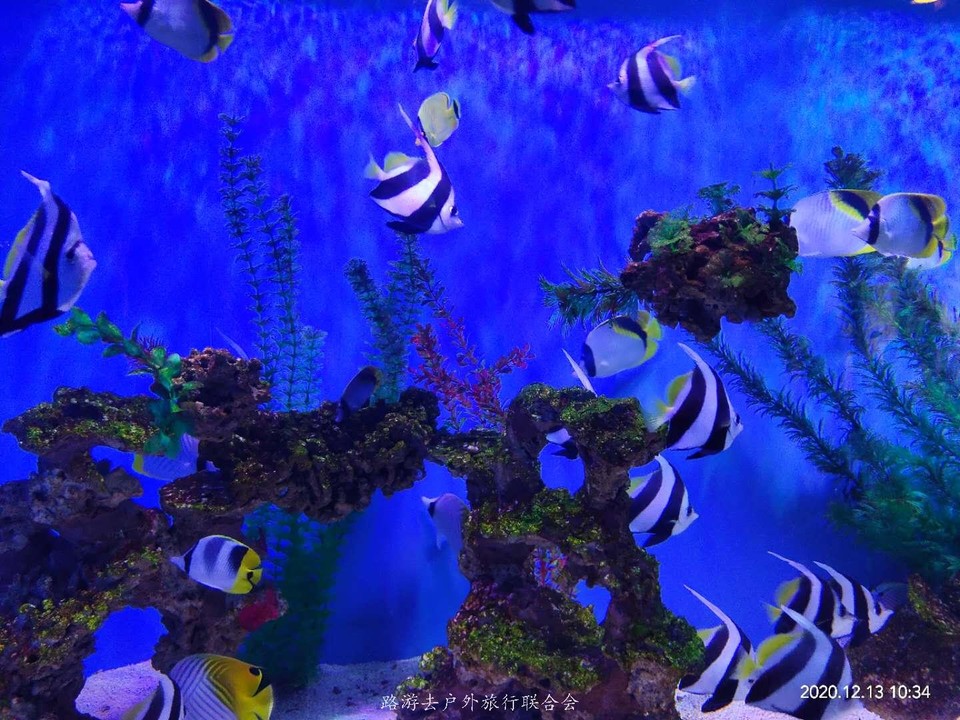 l2DCnRM_jySX1sLW1lT4e4fVcXSFkeSCAhE8ISczGSrz3u5QpoqBkJRikPeOQAB4