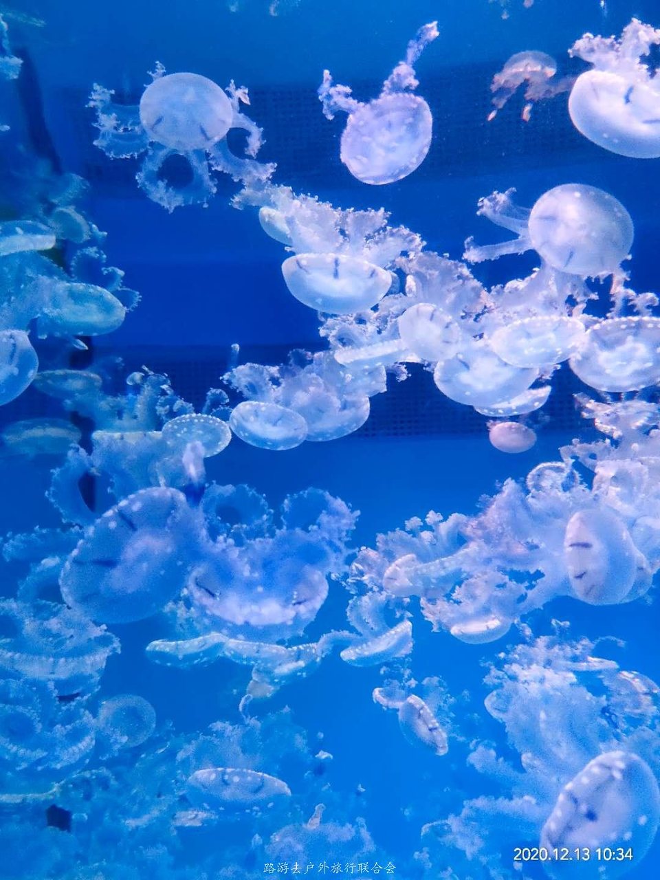 QTKvhrVx9NwSVGJZCU0UwBjv5Rpp3ZaHRoQLrkNphn-BqoA_HeHF6j5_rkBVMZ_K