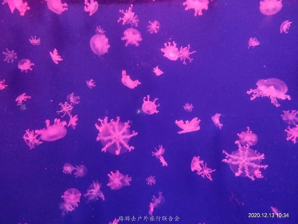 C5i_eLO0_kP__7ko8mqlFnjOxW42rMmp1zt5hNbHxBLuREa-CpcvsYjGpaHFeCsh