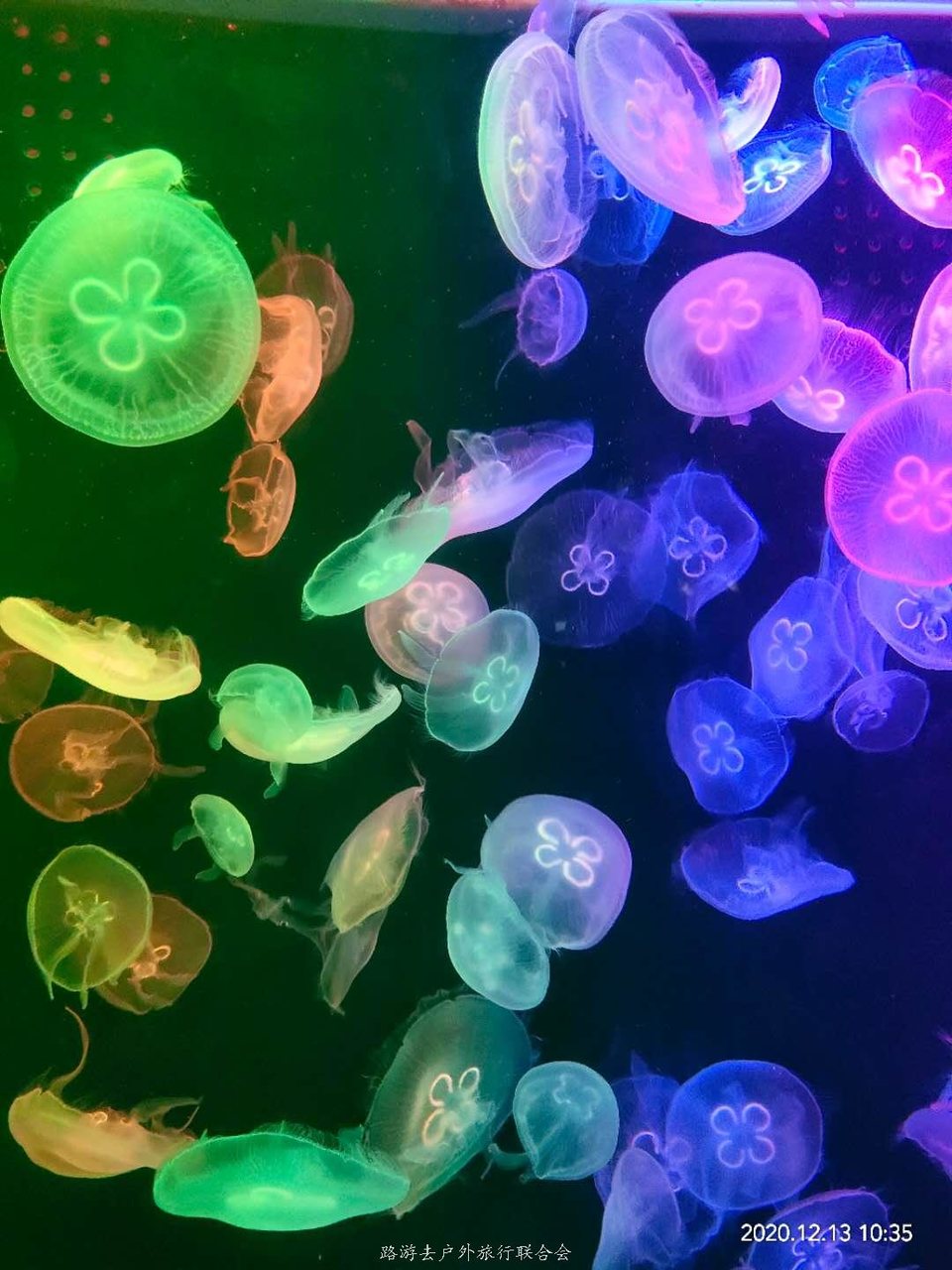 RRAKagKMmq3yz-5a0MSbMpYNhml_Hcj_BZStgAsZOSroFqQLVH2ECUY5UpczA8CJ