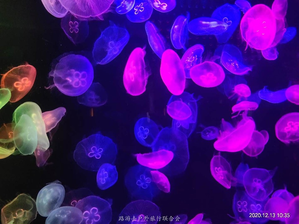 zCEITyvnhbyx0SyDvKlfLVik0Ow8EcihTcGt_4KDhpZ1qaO2tKPHzBNjoFvmC8F4