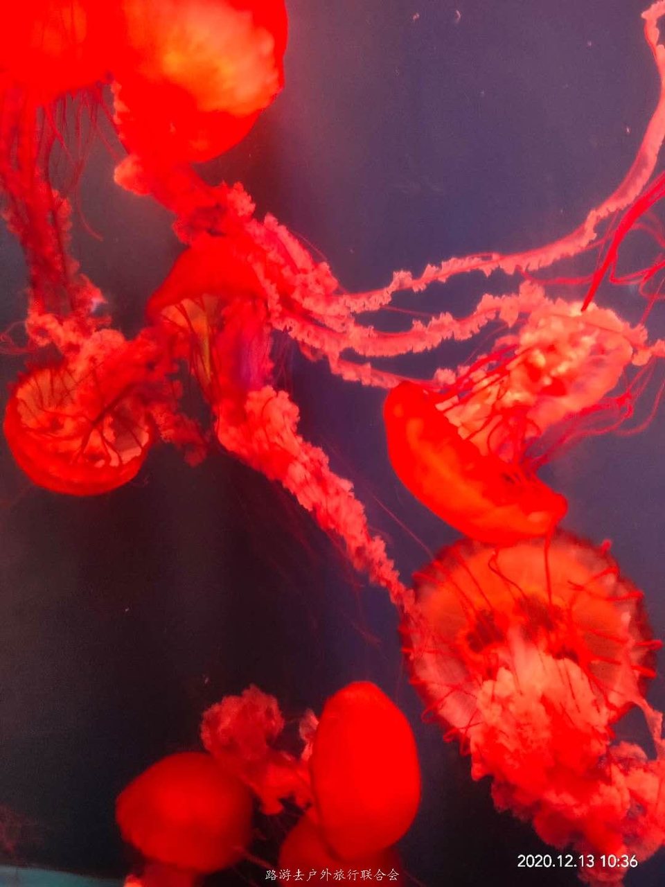 I9VKMvhyoWzI03O7EnQv0mW3GuegUNhbnShPRL6AO8mC8o3GxFNsia5dO0iTAfzT