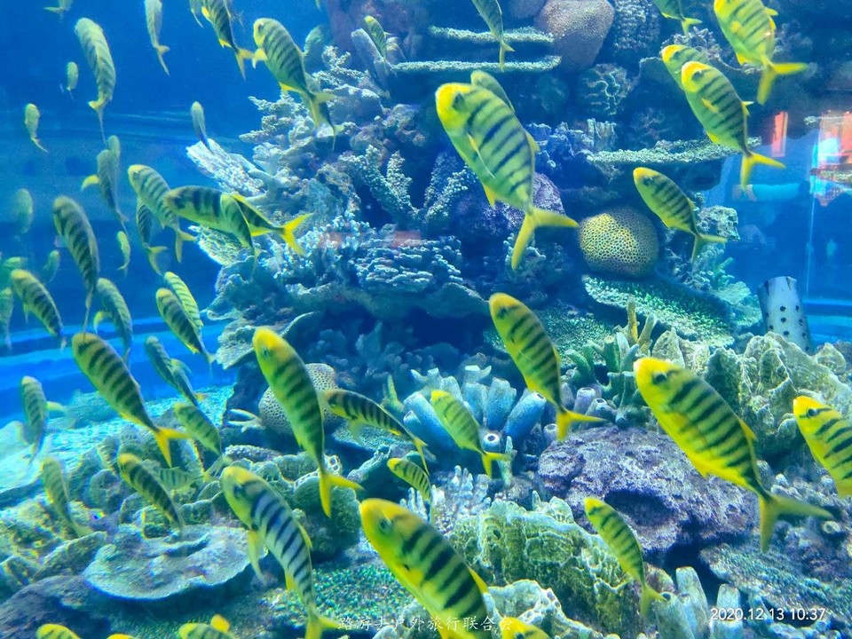 S023DJZpEEi57a76c17OLqCn8yUCRLRM7MqJF_980gm3s_47cNtJoBj-l21Bj5mM