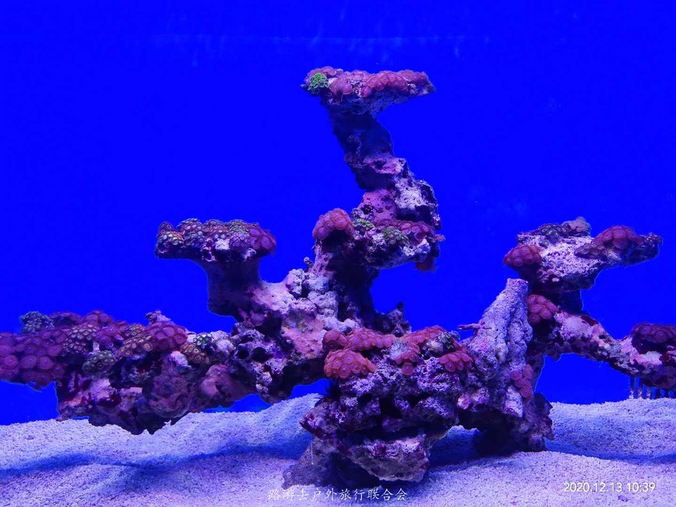 3h4SoINvUekHtd9psHjgVJQdU9hPf1T9RyTKFaJlN7vIQvO10loRL_Ya86prgMCP