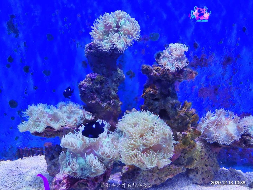 mS0spDCLnIlzUp7E_CvPu06zWOs-ZjsX-1r_pffa9rlhGuqY2uhHbXRgn0LLa0tX