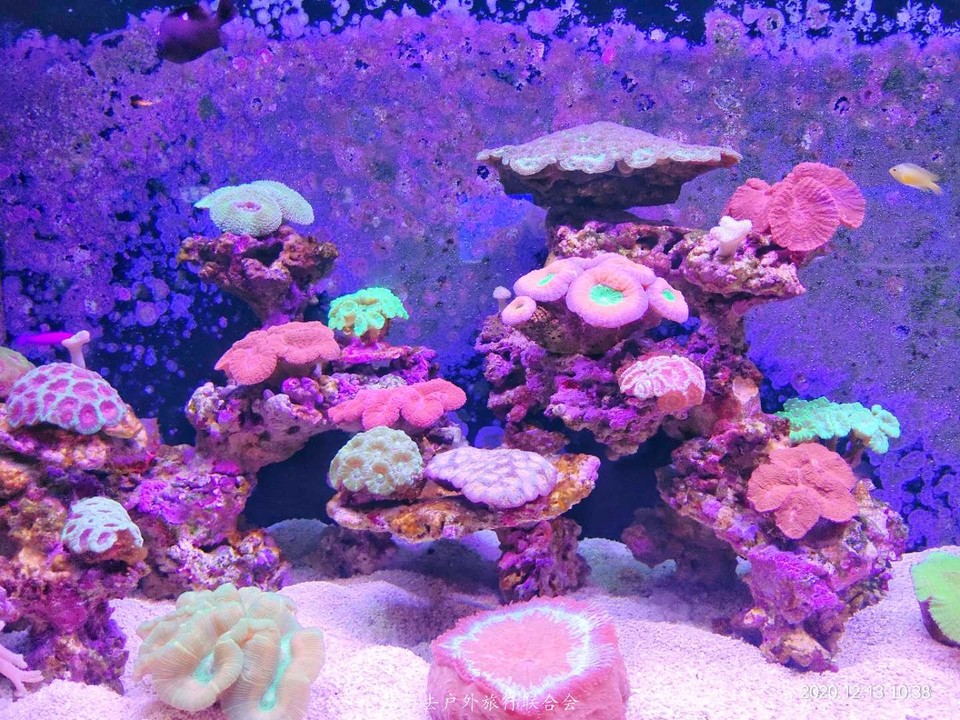 ppbimNTouSyix61h5f6jRyUxF9do5sxUf23WkQJjmS3e67-tHiyhBLSo5MEt3tot